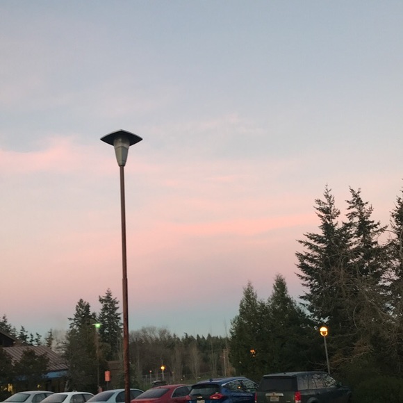 Meet your Posher, Caroline - Picture 1 of 1